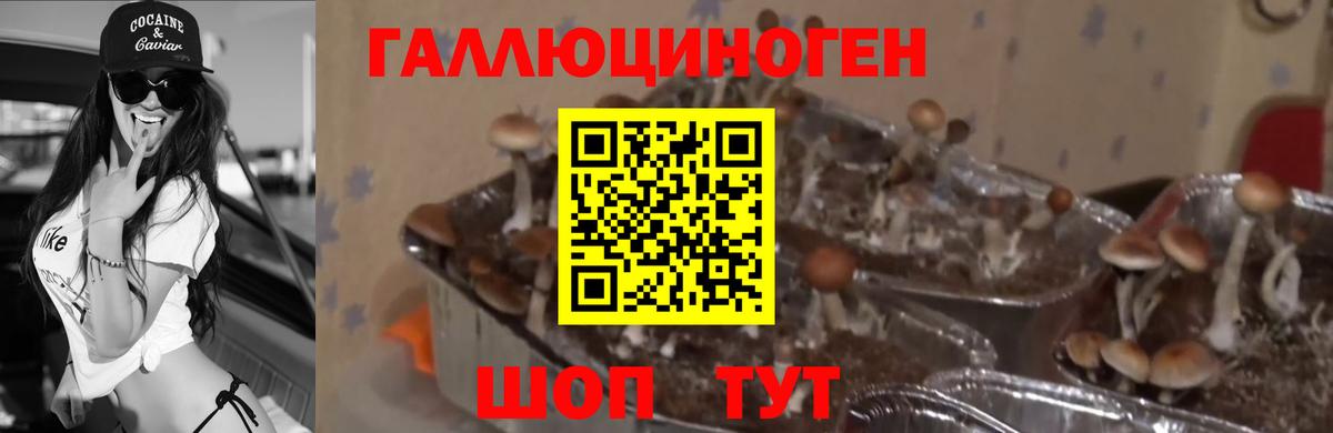 как найти наркотики  Вход с VPN  Кропоткин  Галлюциногенные грибы ЛСД 
